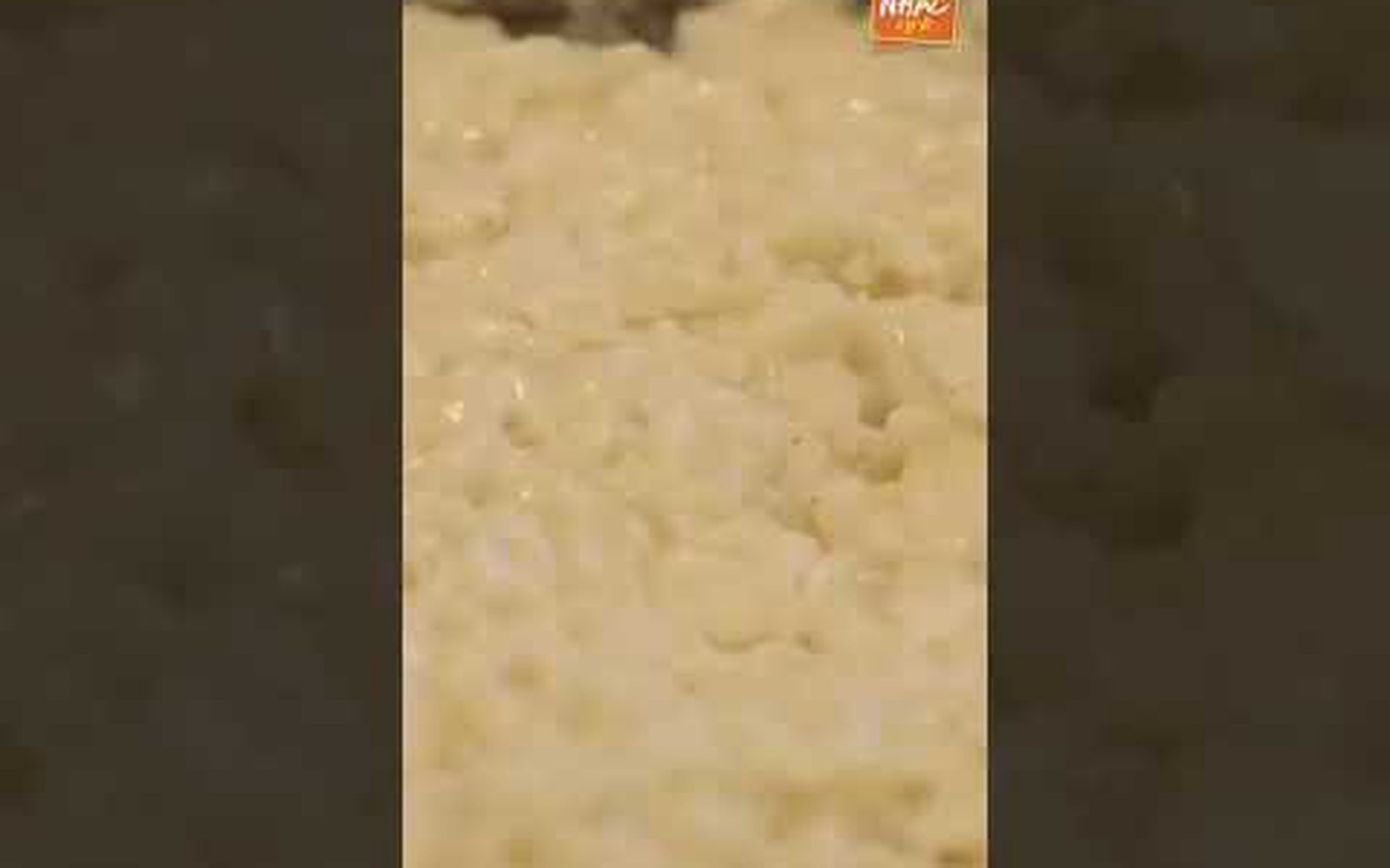 Risoto de Queijo