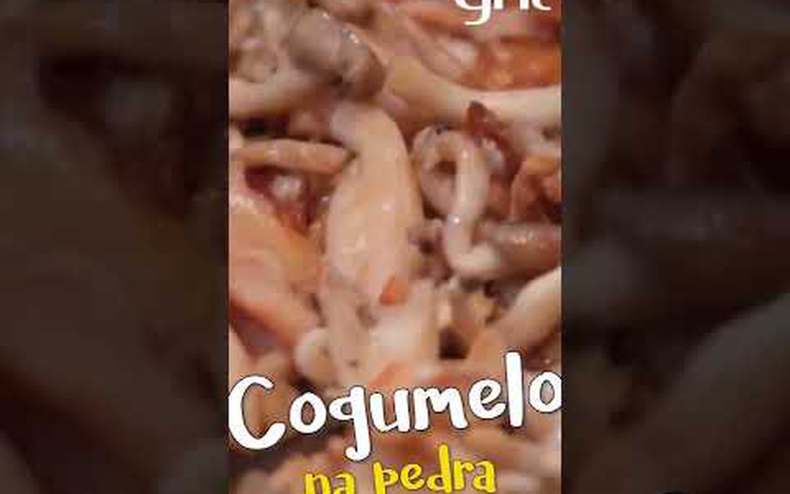 Cogumelos na Pedra