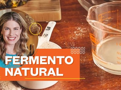 Prévia da receita
