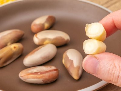 Prévia da receita