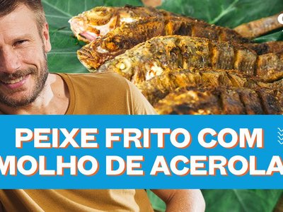 Prévia da receita