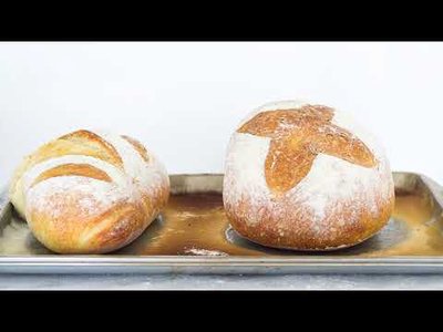 Prévia da receita