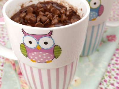 Bolo de Caneca de Chocolate